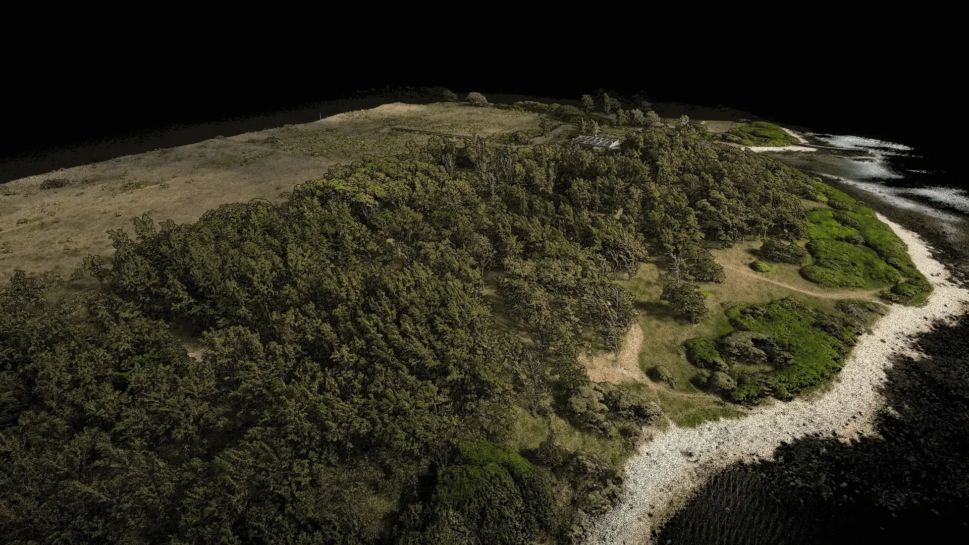 Colourised LiDAR point cloud of a Mauritian coastal headland captured by UAV, showing individual trees, the shoreline and the reef edge