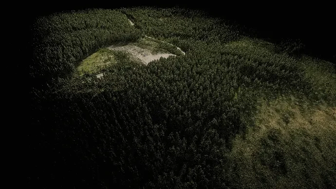 Colourised point cloud of a dense conifer plantation seen from above, with a cleared area and access track visible through the canopy