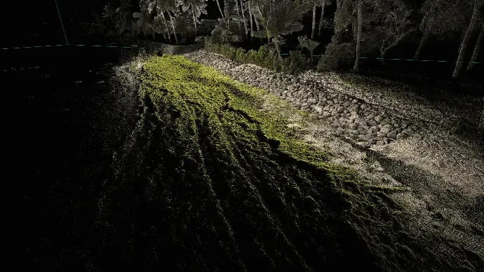 Colourised LiDAR point cloud of a coastal site, with individual measured points visible along the shoreline and vegetation